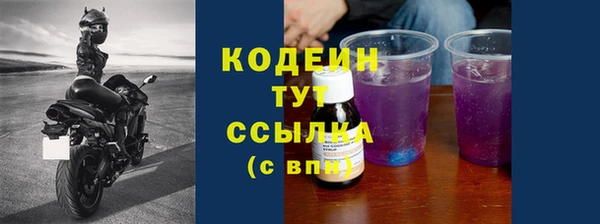 соль ск Кодинск