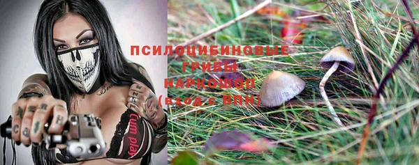соль ск Кодинск