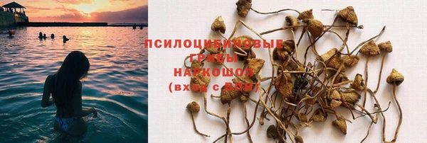 соль ск Кодинск