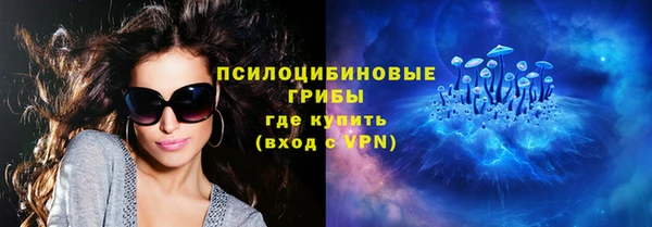 прущий лед Козельск