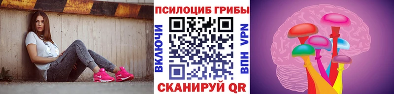 Псилоцибиновые грибы Cubensis Химки